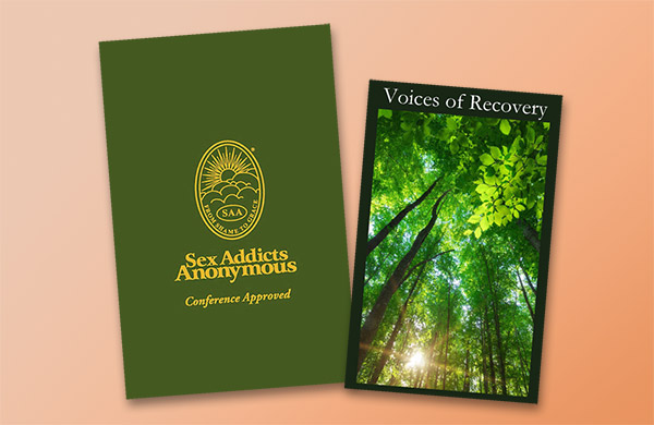 Image of approved ISO literature of SAA